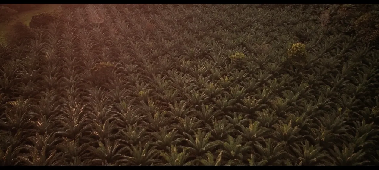 Still de documental